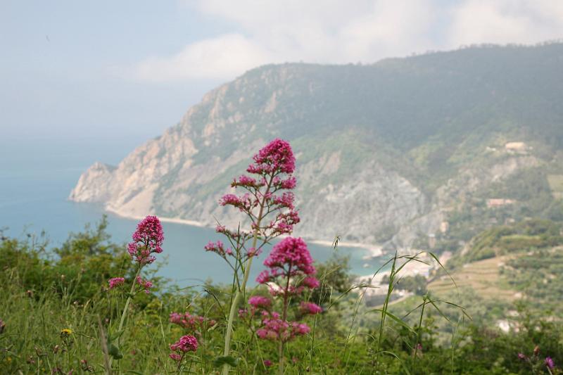 Ligurien-Cinque Terre  42.jpg